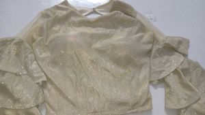 Shimmery Ruffle Sleeve Crop Top