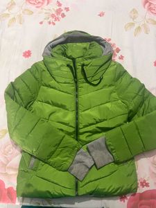 Winter Jacket