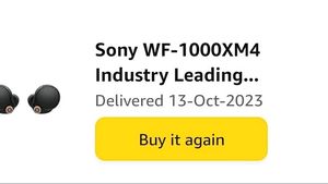 SONY XM4 Earbuds