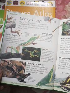 Picture ( Encyclopedia + Dictionary + Atlas)