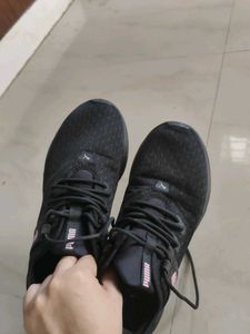 Puma Sneakers