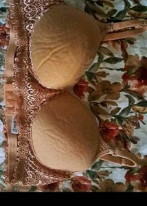 Pair Of Premuim BRA