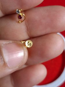 beautiful parrot 🦜 design studs