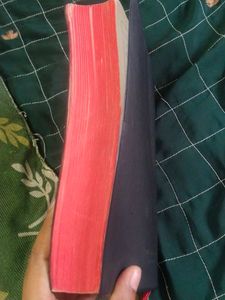 Holi Bible In Hindi Book