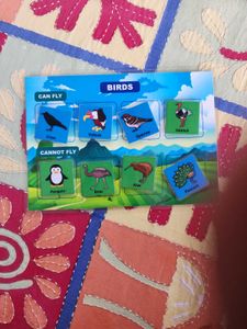 Combo For Kids Learning