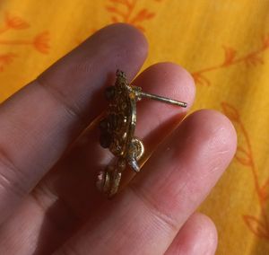 Ethnic Earrings