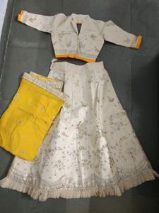 Embroidered Lehenga Skirt