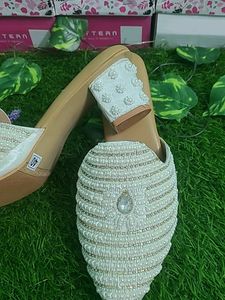 Beautiful Shoe