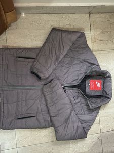 Striped Casual Shoes