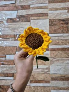 Sunflower 🌻🌞