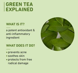 Plum Green Tea Alcohol-Free Toner