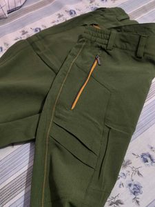 Olive Green Pants