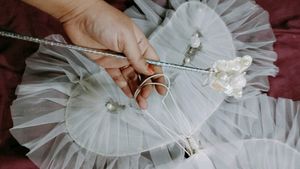Fairy Wings Pari Wings