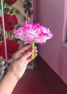 Home Decor Showpiece