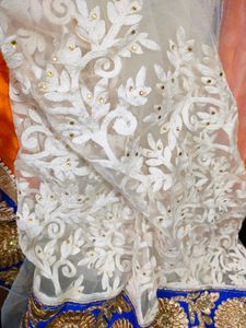 FANTASTIC CHIFFON AND NET SAREE
