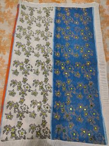 Multi Colour Saree With Chumki Work