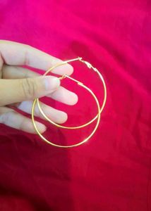 Totally New And Un-worn Shein Hoop Earrings