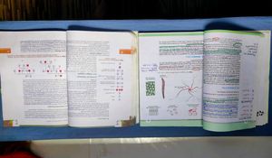 Biology NCERT 11&amp;12th Class Textbook