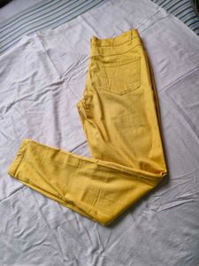 Mustard Casual Pants