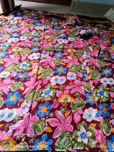 Floral Saree
