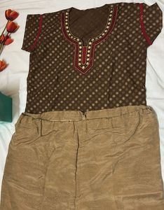 Brown Embroidered Salwar Kameez