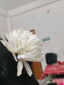 Pearl Hair Accessory