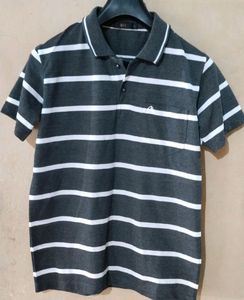 Combo Offer T Shirts