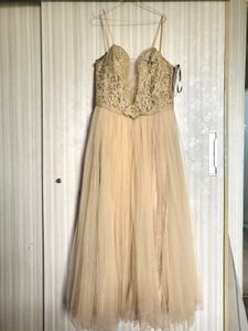 Elegant Ethnic Gown