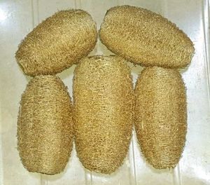 Pack Of 5 Natural Loofah
