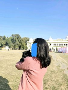 Peach Embroidered Top