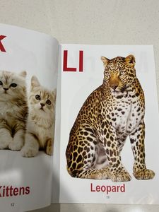 Alphabet Picture Book