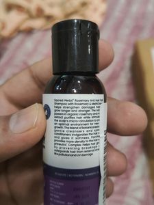 Sacred Herbs Rosemary Anti Hair Fall Shampoo with