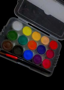 Doms Watercolour  With Brush
