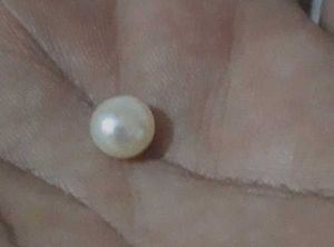 Natural Pearl
