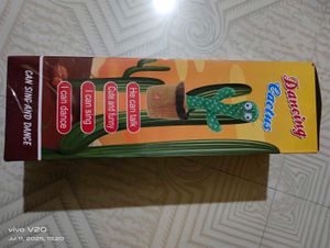 Dancing Cactus Toy
