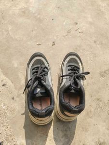 branded Black &amp; Grey Sneakers