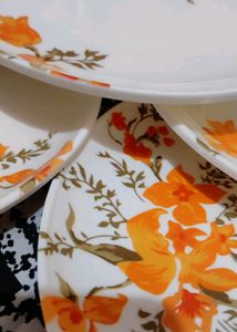 No Used New Plates।