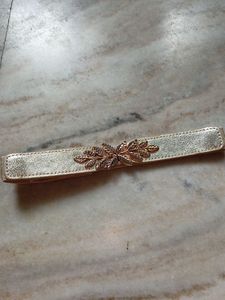 Golden Sleek Belt SALE