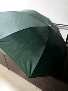 New Umbrella