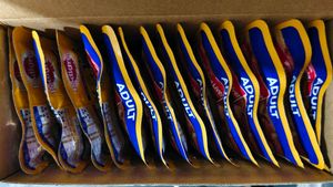 Pedigree Adult Dog Food