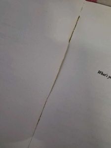 Book: Girl In Pieces By Kathleen Glasgow