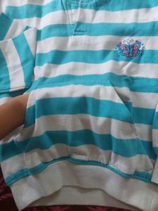 Striped Butterfly Hoodie