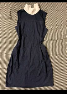 Navy Sleeveless Mini Dress