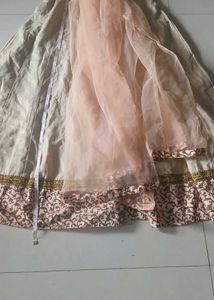 Sleeveless Floorlength Anarkali