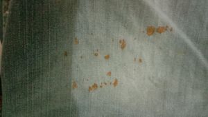 Lee Used Jeans Size 30 Waist. Slight Rust.