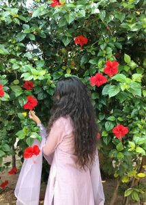 Elegant Kurtaset for wedding