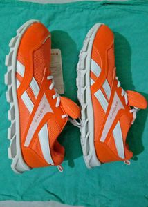 Sports Shoes for Players