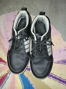 Campus Shoes Unisex
