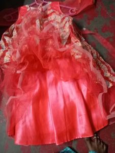 Festive Embroidered Dress