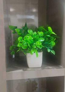 Artificial Flower Pot Only cash